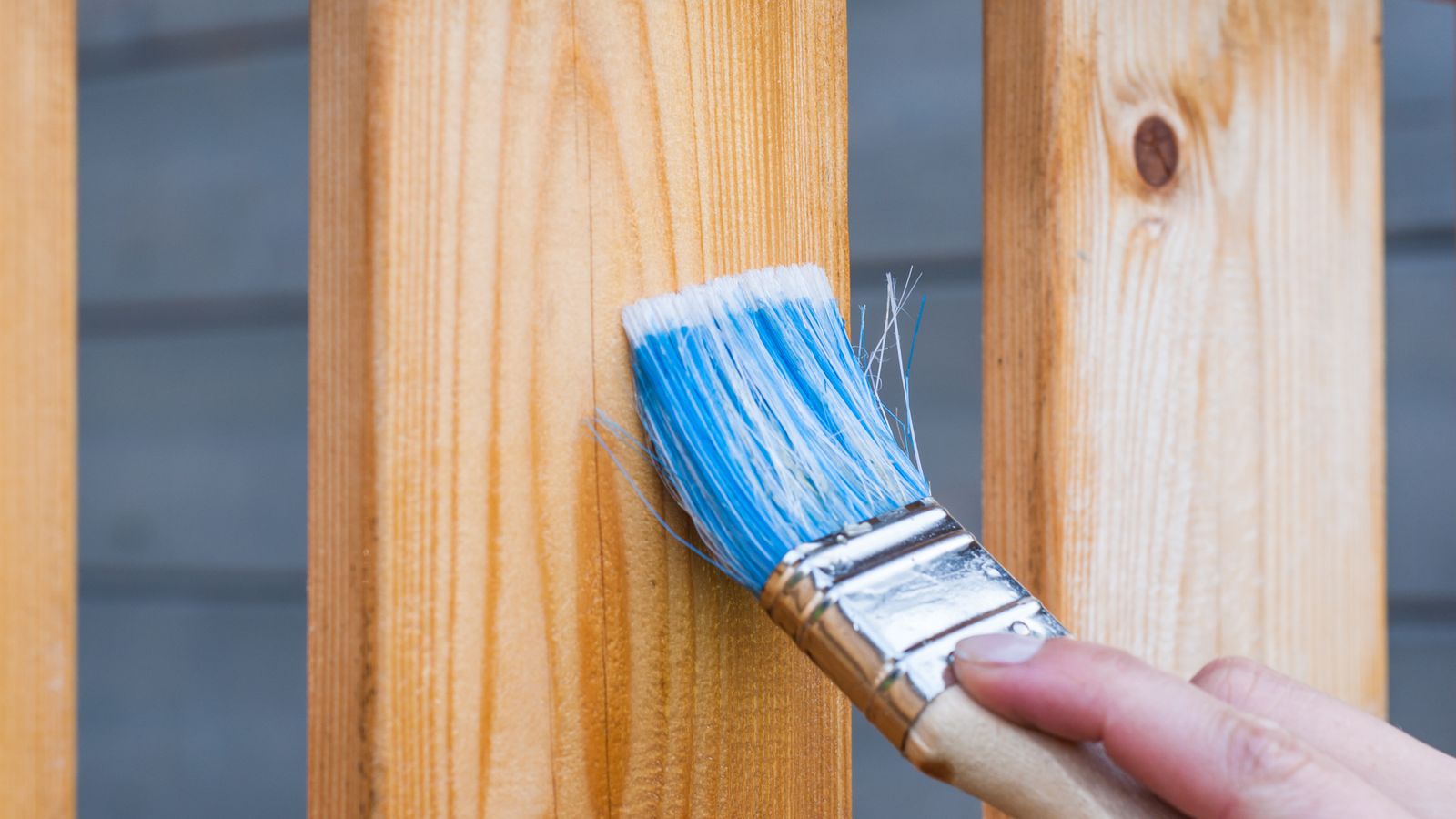 Suvinil ou Sherwin-Williams: qual escolher para sua pintura?